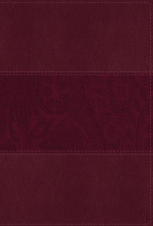 NIV Study Bible, Fully Revised Edition (Study Deeply. Believe Wholeheartedly.), Large Print, Leathersoft, Burgundy, Red Letter, Comfort Print