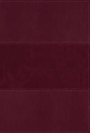 NIV Study Bible, Fully Revised Edition (Study Deeply. Believe Wholeheartedly.), Large Print, Leathersoft, Burgundy, Red Letter, Comfort Print