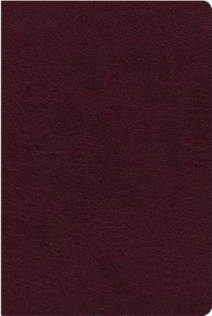 NIV, Reference Bible, Giant Print, Bonded Leather, Burgundy, Red Letter, Thumb Indexed, Comfort Print