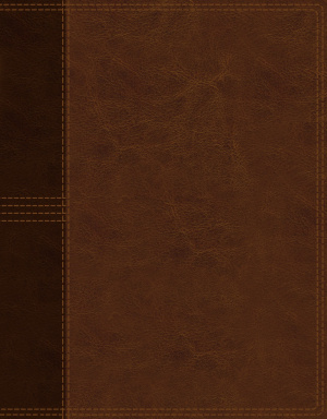 NASB, Journal the Word Reference Bible, Leathersoft over Board, Brown, Red Letter, 1995 Text, Comfort Print