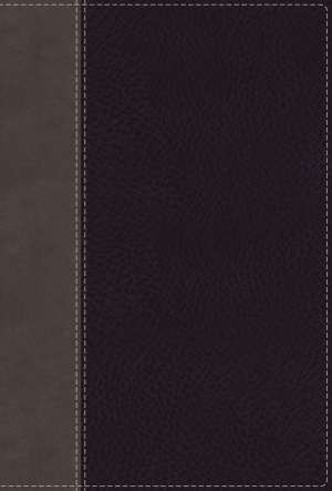 NIV, Giant Print Compact Bible, Leathersoft, Black, Red Letter, Comfort Print