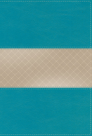 NIV, Giant Print Compact Bible, Leathersoft, Teal, Red Letter, Comfort Print