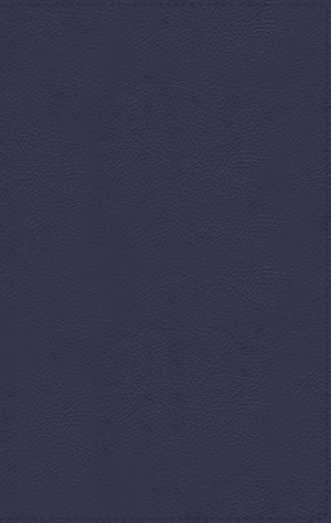 NASB, Thinline Bible, Large Print, Genuine Leather, Buffalo, Blue, Red Letter, 1995 Text, Art Gilded Edges