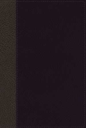 NASB, Classic Reference Bible, Leathersoft, Black, Red Letter, 1995 Text, Thumb Indexed, Comfort Print
