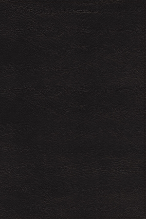 NRSVue, Holy Bible, Leathersoft, Black, Comfort Print