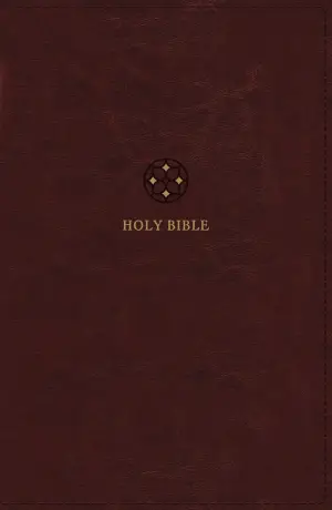 NRSVue, Holy Bible, Leathersoft, Burgundy, Comfort Print