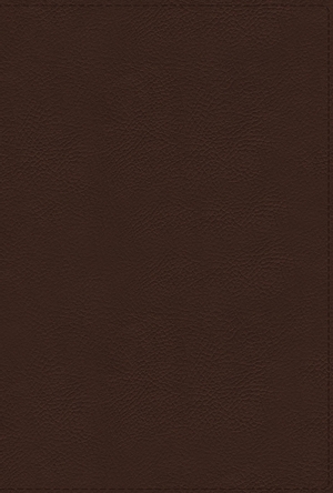 NRSVue, Holy Bible with Apocrypha, Leathersoft, Brown, Comfort Print