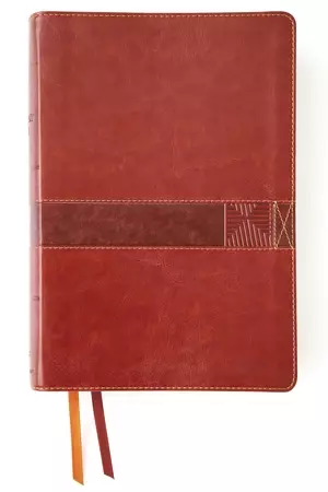 Niv, Student Bible, Leathersoft, Brown, Thumb Indexed, Comfort Print