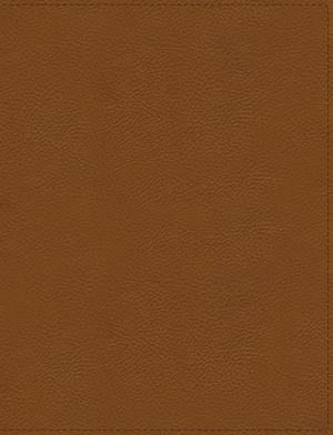 Flourish: The NIV Bible for Women, Leathersoft, Brown, Comfort Print