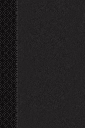 NIV, Compact Center-Column Reference Bible, Leathersoft, Black, Red Letter, Thumb Indexed, Comfort Print