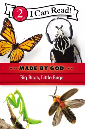 Big Bugs, Little Bugs