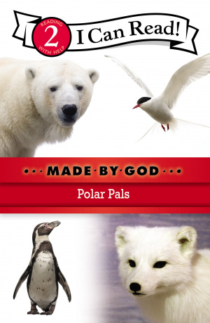 Polar Pals