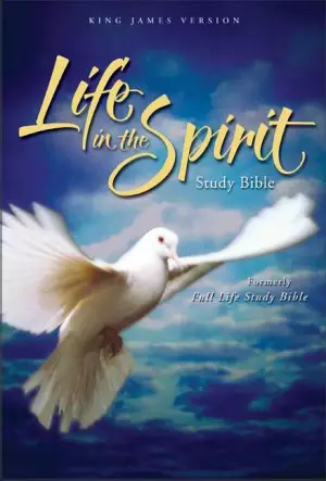 KJV Life in the Spirit Study Bible: Black, Top Grain Leather