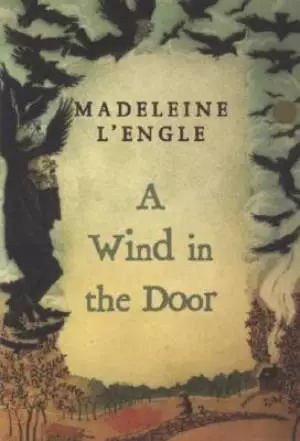 Wind In The Door