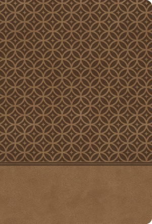 King James Study Bible Tan, Indexed