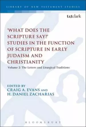 'What Does the Scripture Say?' Studies in the Function of Scripture in Early Judaism and Christianity, Volume 2