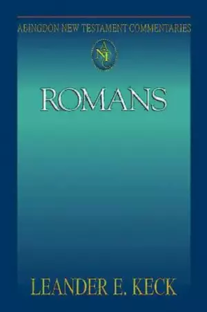 Romans : Abingdon New Testament Commentary