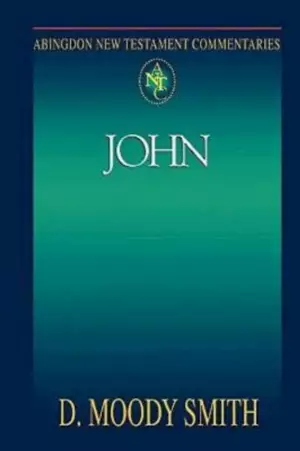 Abingdon New Testament Commentary - John