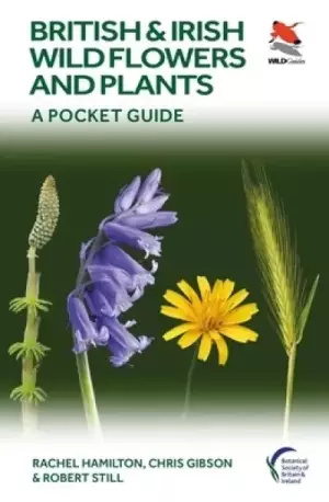 British and Irish Wild Flowers and Plants – A Pocket Guide