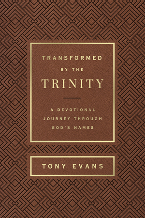 Transformed by the Trinity (Milano Softone)
