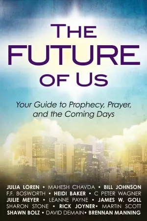 The Future Of Us Paperback Book