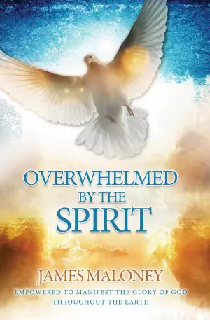 Overwhelmed By The Spirit Paperback Book