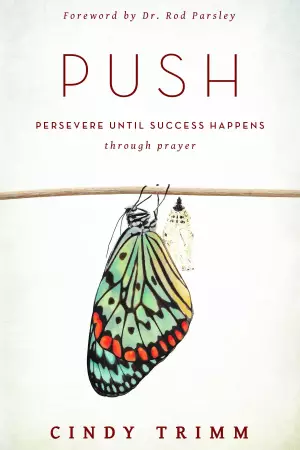 PUSH: Persevere Until Success Happens Through Prayer Paperback