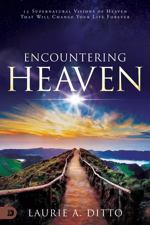 Encountering Heaven