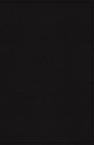 KJV, Reference Bible, Personal Size Giant Print, Genuine Leather, Black, Red Letter Edition
