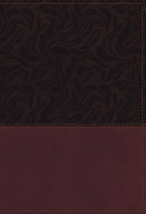 NKJV Study Bible, Leathersoft, Red, Full-Color,  Indexed, Comfort Print