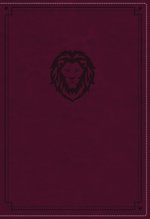 KJV, Thinline Bible Youth Edition