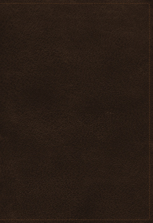 The  NIV, Open Bible, Genuine Leather, Brown, Red Letter, Comfort Print