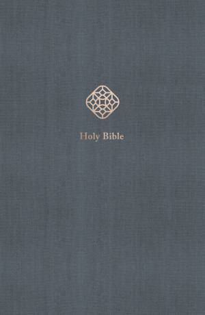 NRSV, Catholic Bible, Journal Edition, Cloth over Board, Blue, Comfort Print