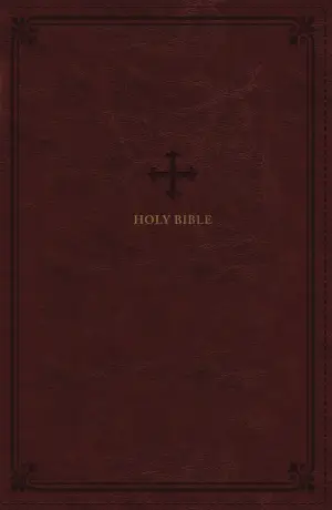 NRSV, Catholic Bible, Standard Personal Size, Leathersoft, Red, Comfort Print