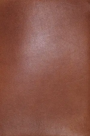 NASB, MacArthur Study Bible, Brown Premium Goatskin Leather, Premier Collection, 1995 Text, Comfort Print