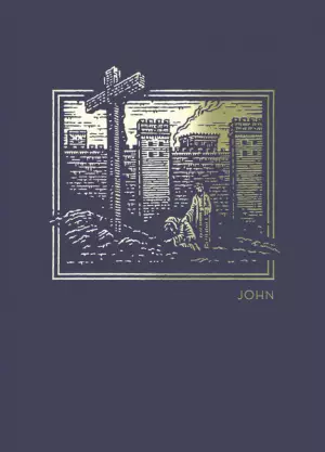 NET Abide Bible Journal - John, Paperback, Comfort Print