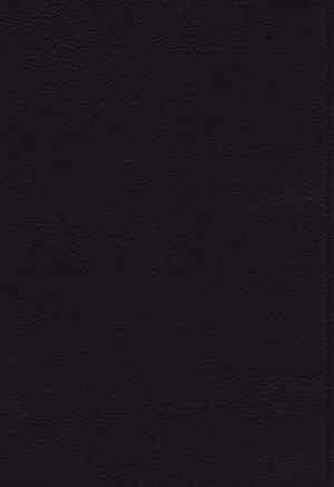 NKJV, Large Print Verse-by-Verse Reference Bible, Maclaren Series, Leathersoft, Black, Comfort Print