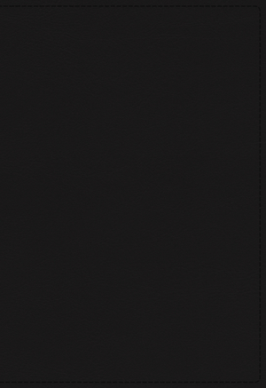KJV Holy Bible: Large Print Single-Column with 43,000 End-of-Verse Cross References, Black Genuine Leather, Personal Size, Red Letter, Comfort Print: King James Version