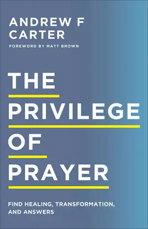 The Privilege of Prayer: Find Healing, Transformation, and Answers