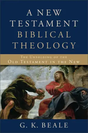 Cover of New Testament Biblical Theology