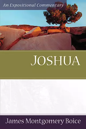 Joshua : Expositional Commentary