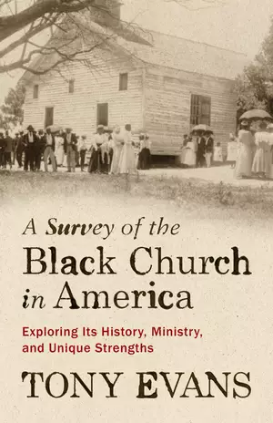 Survey of the Black Church in America