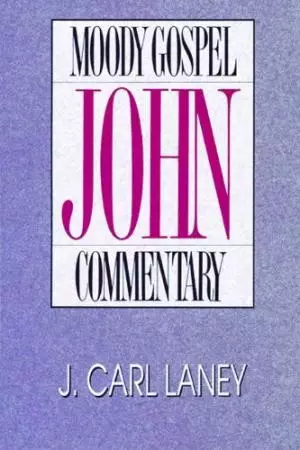 John : Commentary 