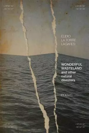 Wonderful Wasteland and Other Natural Disasters: Poems