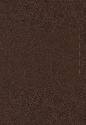 NVI Santa Biblia, Lucado, Palabra de Aliento, Leathersoft, Café, Interior a dos colores
