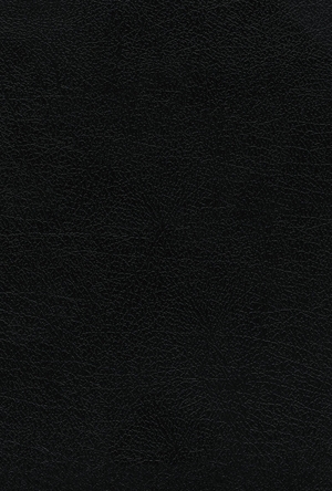 NVI, Biblia de Estudio Teología Bíblica, Interior a cuatro colores, Piel reciclada, Negro