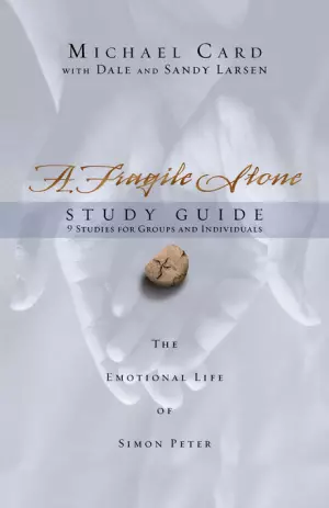 Fragile Stone, A : Study Guide