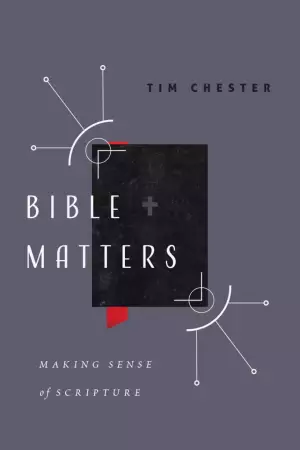 Bible Matters: Making Sense of Scripture