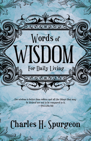 Words Of Wisdom For Daily Living Paperback Book