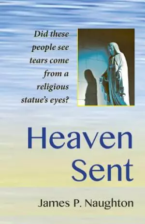 Heaven Sent: My Family's Remarkable Encounter with the Virgin Mary